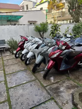 Honda Vision motorbike in all colors
