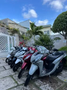 Honda Vision motorbike in all colors