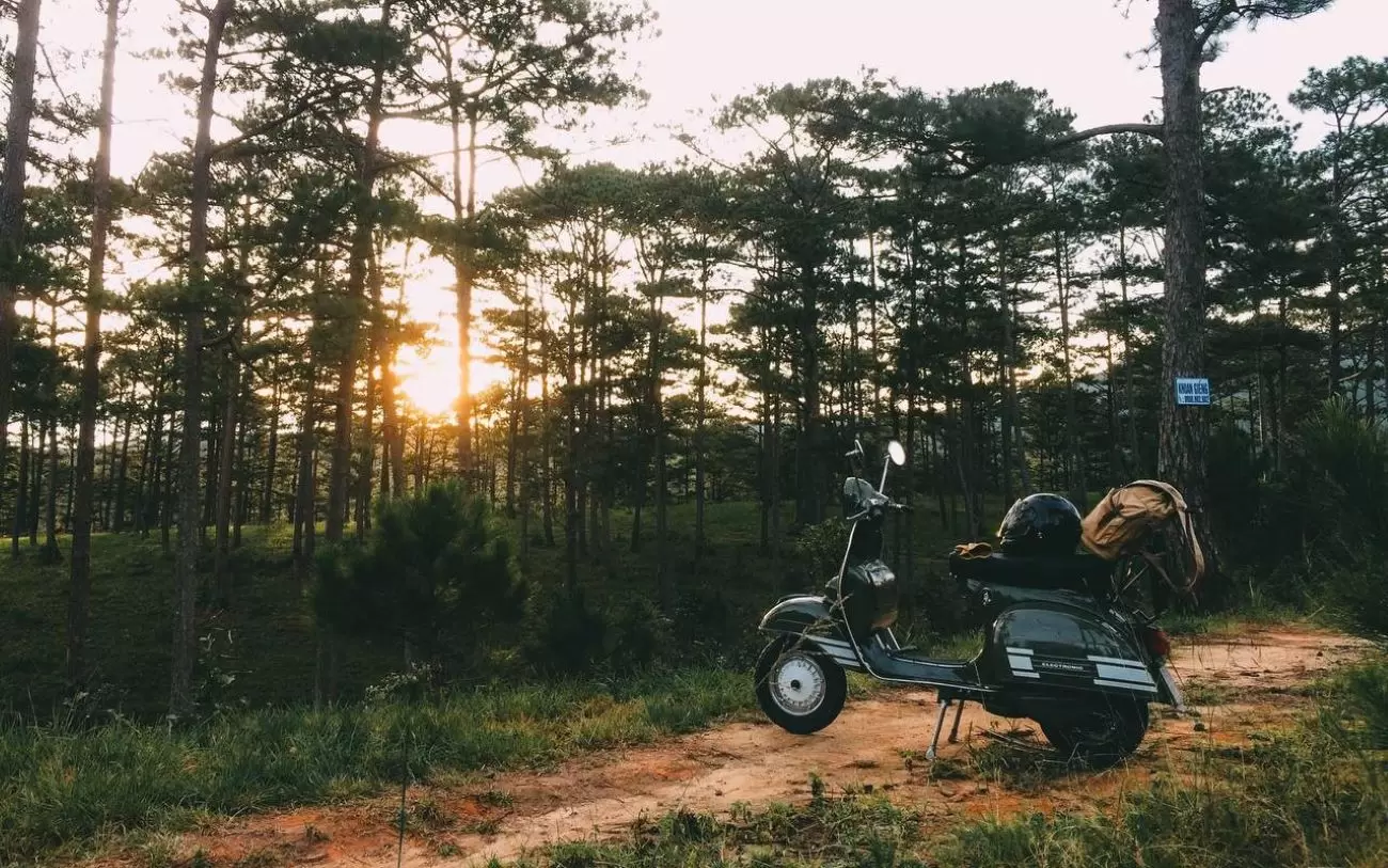 Thu&ecirc; Xe M&aacute;y Đ&agrave; Lạt Dễ D&agrave;ng nhất