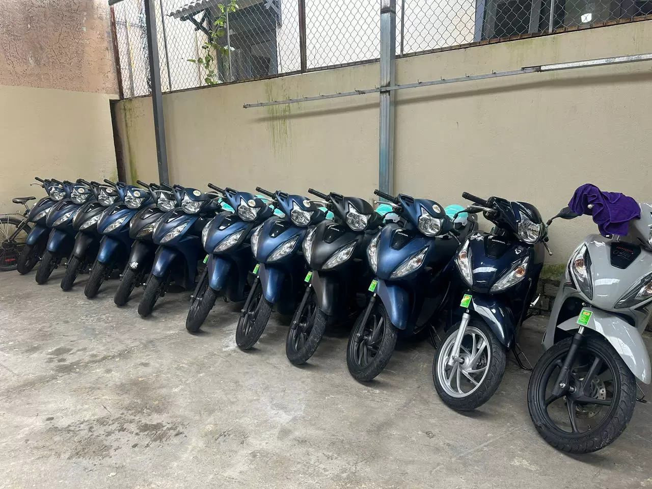 Honda Vision motorbike in many colors