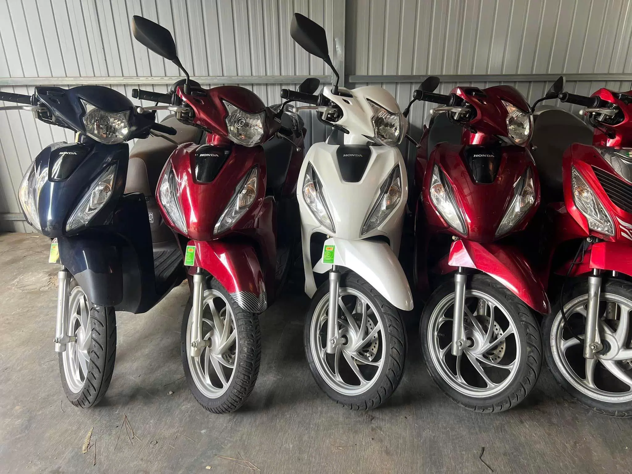 Honda Vision motorbike in all colors