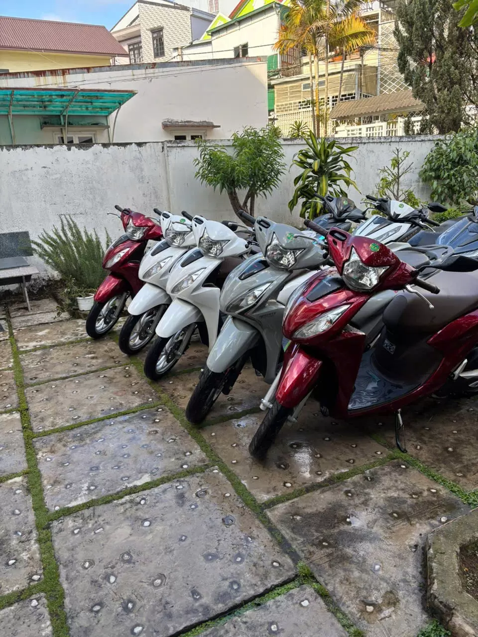 Honda Vision motorbike in all colors