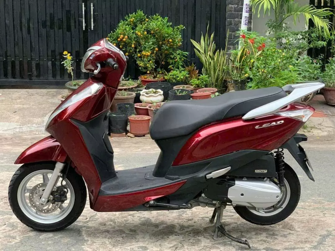 Honda Lead motorbike random color