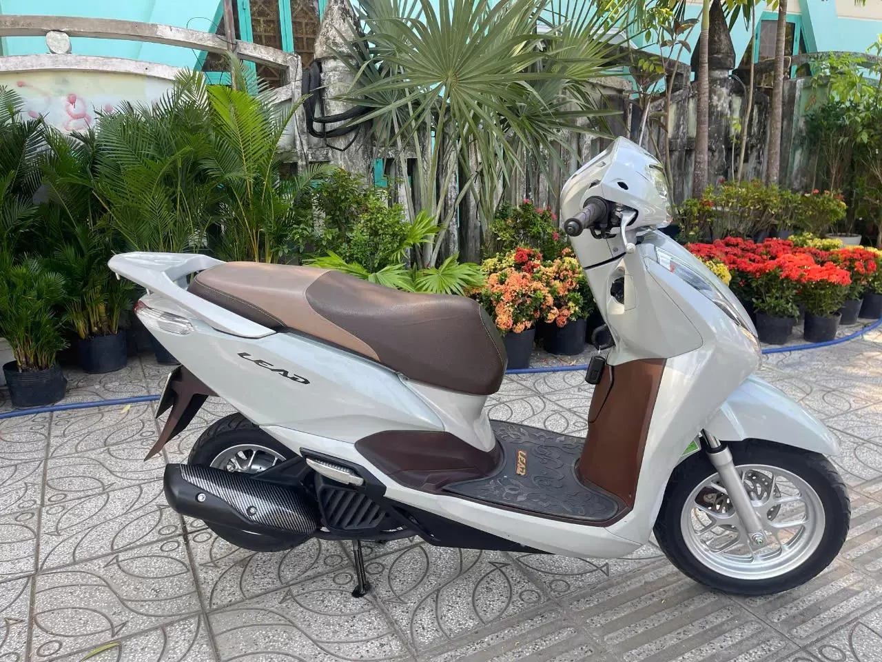 White Honda Lead motorbike