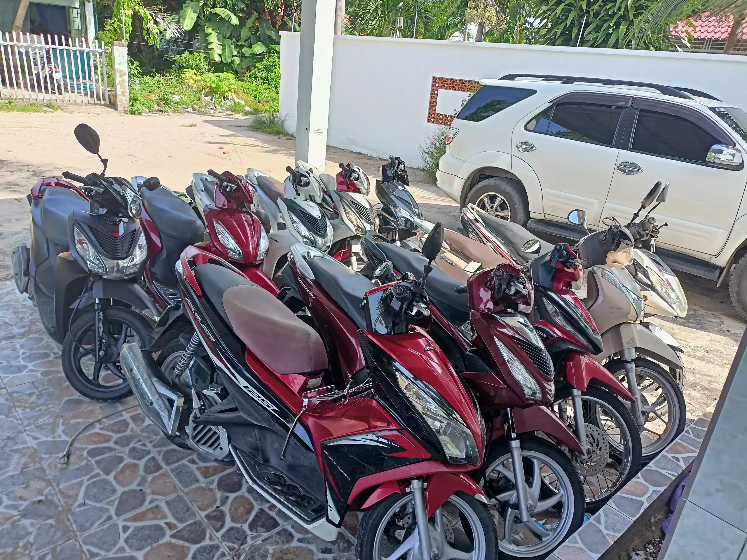 Honda Vision and Honda Lead motorbikes